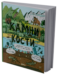 Камни и кости